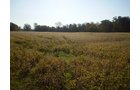 Property photo 4 - 202+/- Acres Offered in 7 Tracts